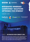 Integrated Immersed Computing® Solutions Optimised for Synergy
