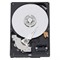 Hitachi Ultrastar A7K1000 Enterprise 3TB SATA II