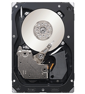 Seagate Cheetah 15K.7 300GB SAS