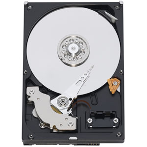 Western Digital RE2 160GB SATA