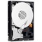 Western Digital RE4-GP 2TB SATA