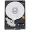 Western Digital RE3 250GB SATA