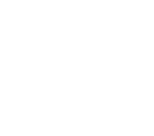 NVIDIA QUADRO RTX 8000 48GB GDDR6, 4608 CUDA, 576 TENSOR, 72RT C