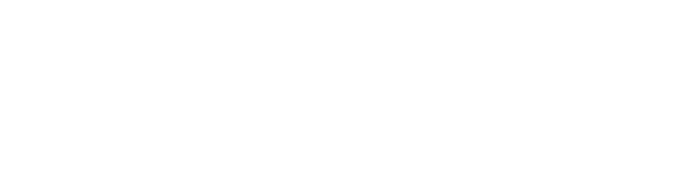 Excelero Logo