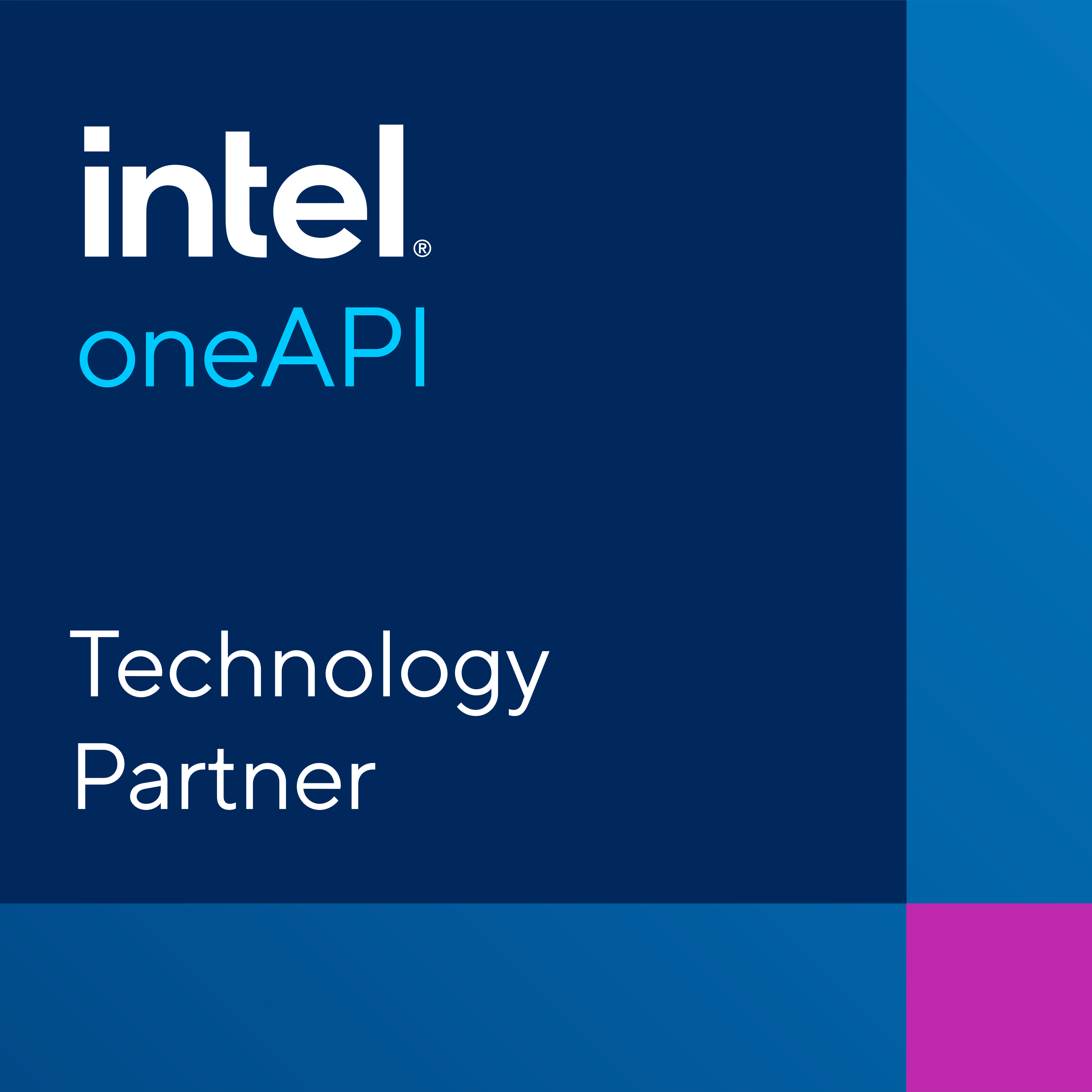 Intel OneAPI Logo
