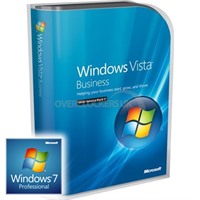 Microsoft Windows Vista Business x64