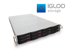 Boston Igloo 2U-60T-Stor