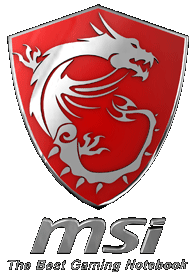MSI GeForce GT 710 Passive Silent Graphics Card 2GB