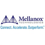 Mellanox ConnectX-6 EN adapter card, 200GbE, dual-port QSFP56, PCIe 4.0 x16, Spectrum-2 based 200GbE