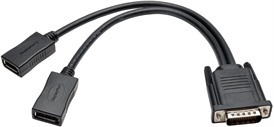 Tripp Lite DMS-59 to Dual DisplayPort Splitter Y Cable (M to 2xF), 1-ft
