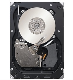 Seagate Cheetah 15K.7 600GB SAS