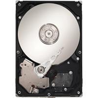 Seagate Barracuda 7200.10 750GB SATA