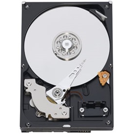 Western Digital RE3 250GB SATA